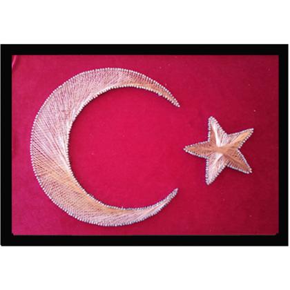 Türk Bayrağı Tablolar