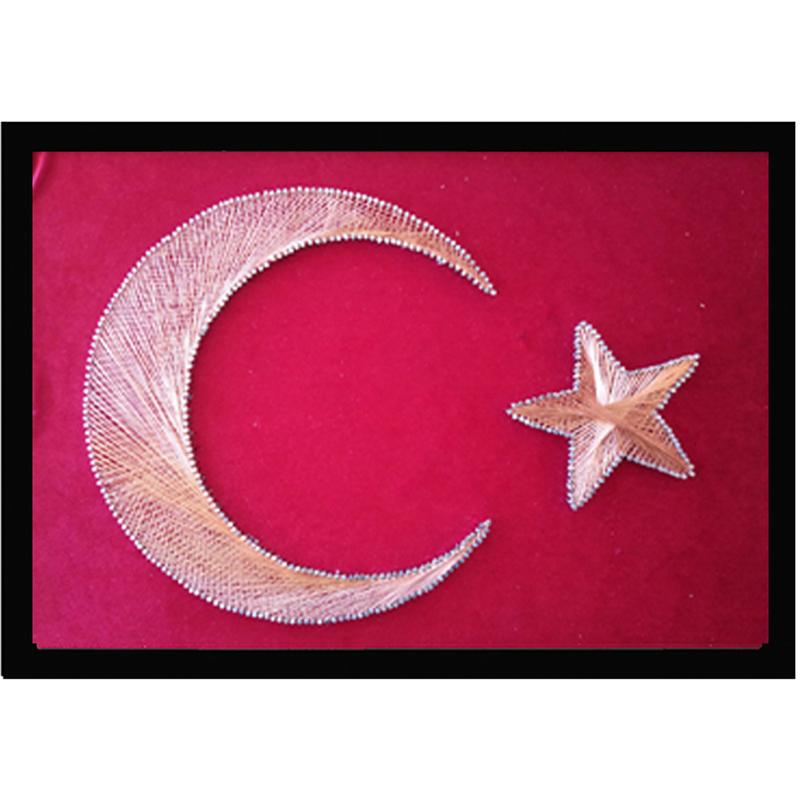 Türk Bayrağı Tablolar